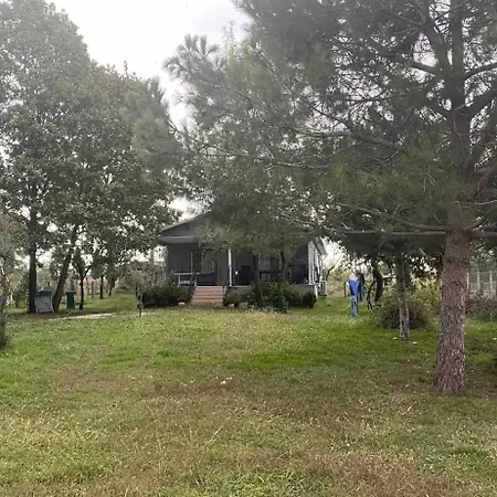 Kaan Goel Evi